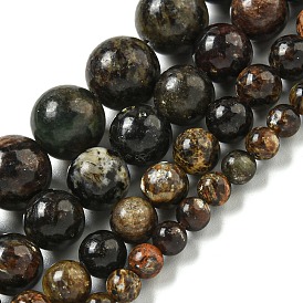 Natural Phlogopite Beads Strands, Round