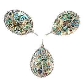 Natural Abalone Shell/Paua Shell Wire Wrapped Big Pendants, with Brass Findings, Teardrop & Oval with Tree