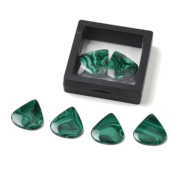 Natural Malachite Cabochons, Flat Back, Teardrop, with Floating Thin Film Display Case