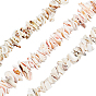 Nbeads 3 Strands 3 Style Natural Spiral Shell Bead Strands, Trochid Shell/Trochus Shell Bead Strands, Nuggets Chips