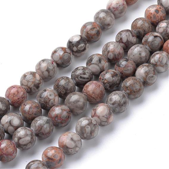 Natural Maifanite/Maifan Stone Beads Strands, Round