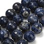 Natural Sodalite Beads Strands, Round, Faceted