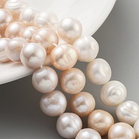 Natural Cultured Freshwater Pearl Beads Strands, Potato