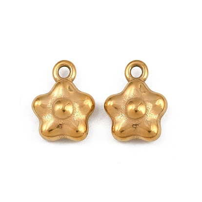 304 прелести нержавеющей стали, ионное покрытие (ip), звезда очарование