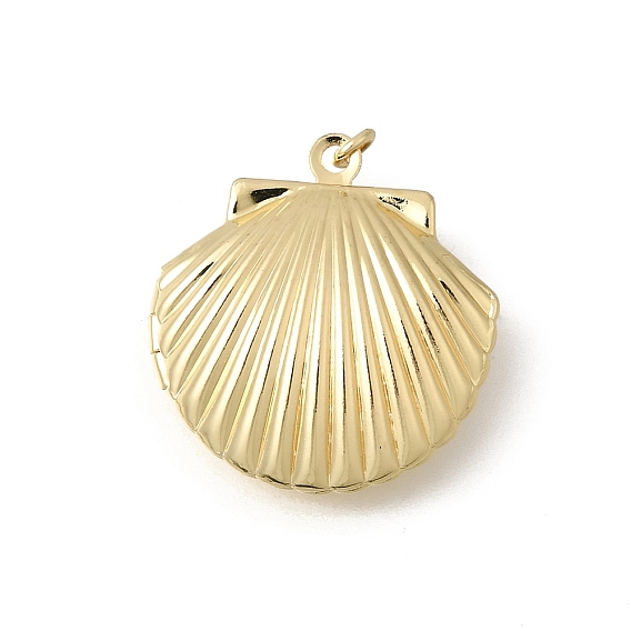 Подвески латуни медальон, подвески в форме ракушек, долговечный, без кадмия и без свинца