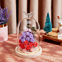Bird Glass Dome Cover, Decorative Display Case, Cloche Bell Jar Terrarium with Wood Base, for DIY Preserved Flower Gift