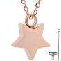 1Pc Stainless Steel Star Urn Ashes Pendant Cable Chain Necklaces, with 1 Bag 304 Stainless Steel Mini Funnel