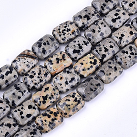Natural Dalmatian Jasper Beads Strands, Rectangle