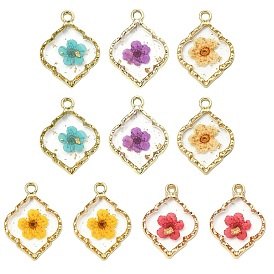 10 шт. 5 подвески из цинкового сплава и эпоксидной смолы, ромб с сухоцветом, золотые