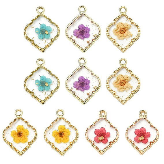 10 шт. 5 подвески из цинкового сплава и эпоксидной смолы, ромб с сухоцветом, золотые