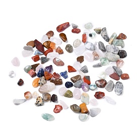 Natural Gemstone Beads, No Hole/Undrilled, Chip