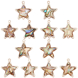 Наборы для изготовления ювелирных изделий своими руками, в том числе подвески и подвески с соединителями в виде ракушек с натуральными черными губами, с латунной фурнитурой , звезда