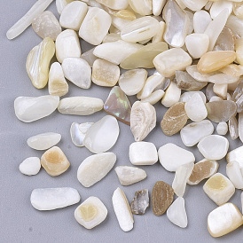  Perles de coquille d'eau douce, perles non percées / sans trou, puce