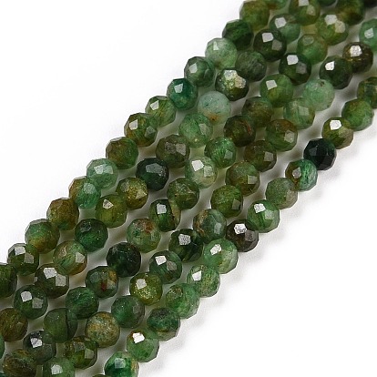 Natural Fuchsite Beads Strands, Faceted, Round