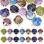 14Pcs 7 Colors Handmade Porcelain Pendants, Shell Shape Charms with Iron Loops, Golden
