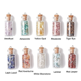 10Pcs 10 Styles Glass Bottle Pendants, Wishing Bottle Charms with Gemstone Chip Beads Inside