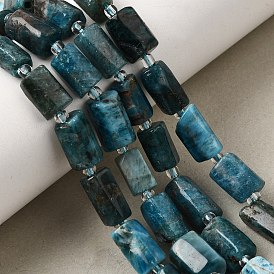 Natural Apatite Beads Strands, Column, Faceted, with Seed Beads
