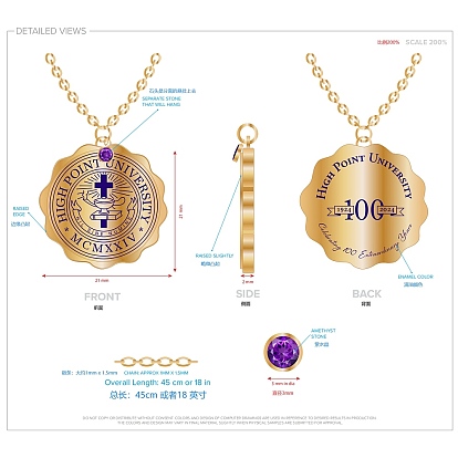 Ion Plating(IP) 304 Stainless Steel Pendant Necklaces, High Point University Anniversary Enamel & Natural Amethyst Pendant Necklace
