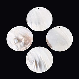 Природные подвески оболочки пресноводных, Дисковые подвески