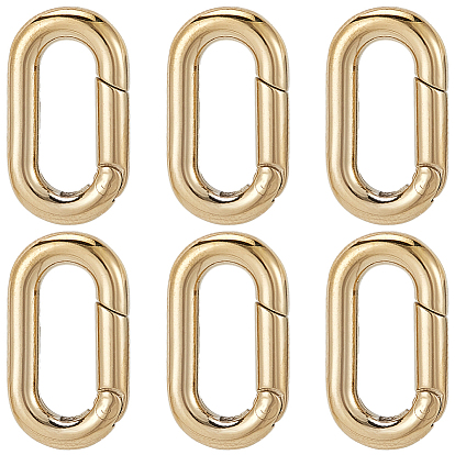 6Ионное покрытие (IP) 304 Кольца пружинного затвора из нержавеющей стали, овальные