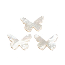 Cabochons de coquillages naturels, papillon