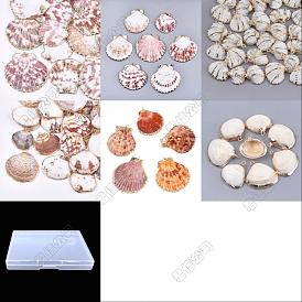 24 piezas 6 estilos colgantes de concha marina galvanizada, con fornituras de hierro, la luz de oro
