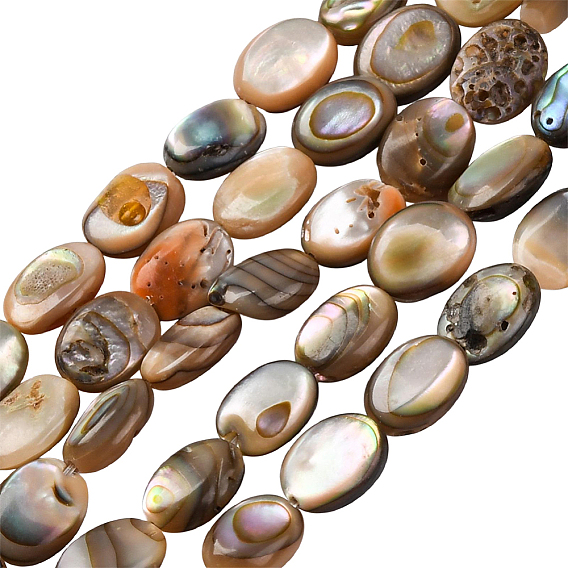 2 brins de perles de coquillage paua naturel, Ovale Plat