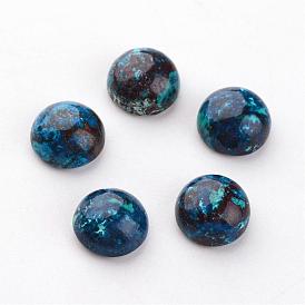 Natural Chrysocolla Cabochons, Half Round/Dome, 8x4mm