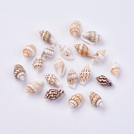 Perles de coquillages