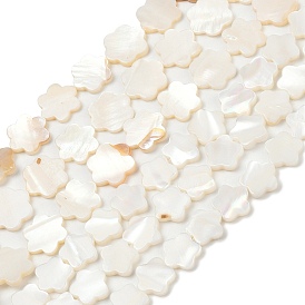 Естественных пресноводных оболочки бисер нитей, цветок