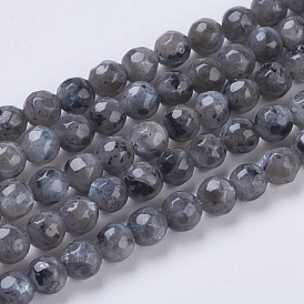 Brins de perles de larvikite naturelles, facette, ronde, 4mm, Trou: 1mm, Environ 90 pcs/chapelet, 15.35 pouce