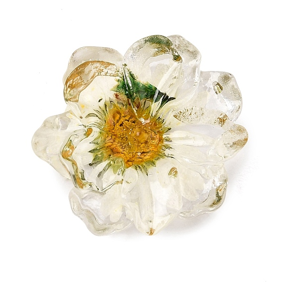 Transparent Resin Cabochons, Flower, with Dried Flower