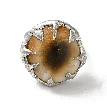 Dyed Natural Shell Eye Open Cuff Ring, Silver Plated Tin Finger Ring, Cadmium Free & Lead Free