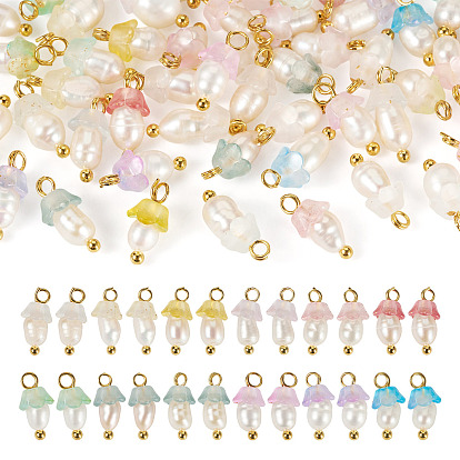 48шт 12 стили акриловые и натуральные жемчужные цветочные подвески, с медными петлями, золотые