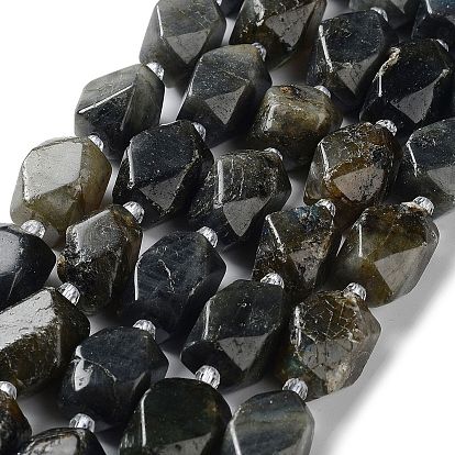 Natural Larvikite Beads Strands, with Seed Beads, Faceted, Rhombus