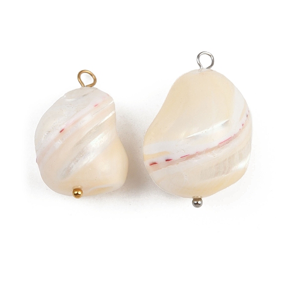 Подвески из натуральных ракушек, с 304 петлями из нержавеющей стали, цвет морской раковины, ионное покрытие (ip)