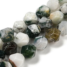 Natural Tree Agate Beads Strands, Faceted, Polygon