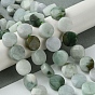 Natural Myanmar Jadeite Beads Strands, Faceted, Flat Round