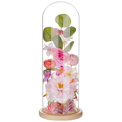 Couvercle de dôme en verre transparent, vitrine décorative, terrarium cloche cloche avec base en bois