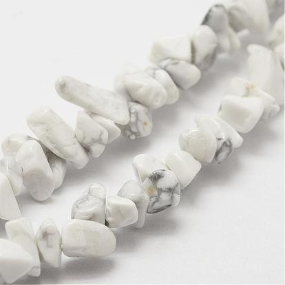 Natural Howlite Beads Strand, Chip