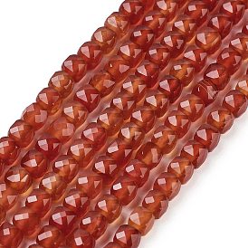 Natural Red Agate Beads Strands, Faceted, Cube, Grade A