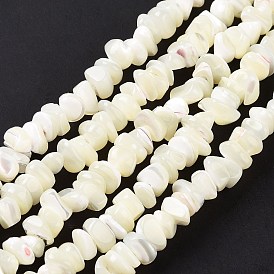 Natural Sea Shell Beads Strands, Bleach, Chips