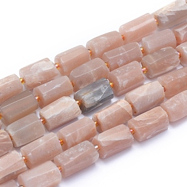 Frosted Natural Sunstone Beads Strands, Faceted, Column