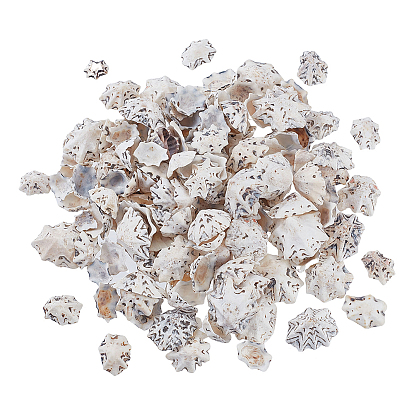 400г натуральные бусины из ракушек, без отверстия , для поделок из ракушек ручной работы