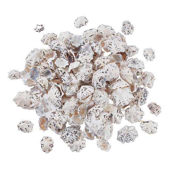 400г натуральные бусины из ракушек, без отверстия , для поделок из ракушек ручной работы