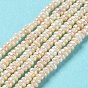 Natural Cultured Freshwater Pearl Beads Strands, Grade 4A, Rondelle