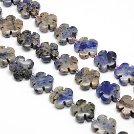 Natural Flower Blue Spot Jasper Beads Strands, 15x5.5mm, Hole: 1mm, about 27pcs/strand, 16.53 inch