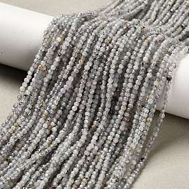 Природные лабрадорита бисер нитей, граненые круглые