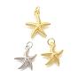 Латунные подвески, с целью перехода в кольце, долговечный, без свинца и без кадмия, прелести морская звезда