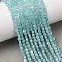 Natural Amazonite Beads Strands, Flat Round, Faceted